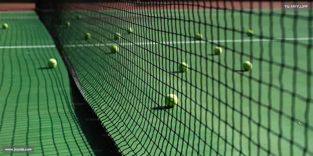 我们的品牌价值